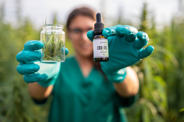 The Benefits of Organic and Natural CBD Canada for Wellness and Relaxation